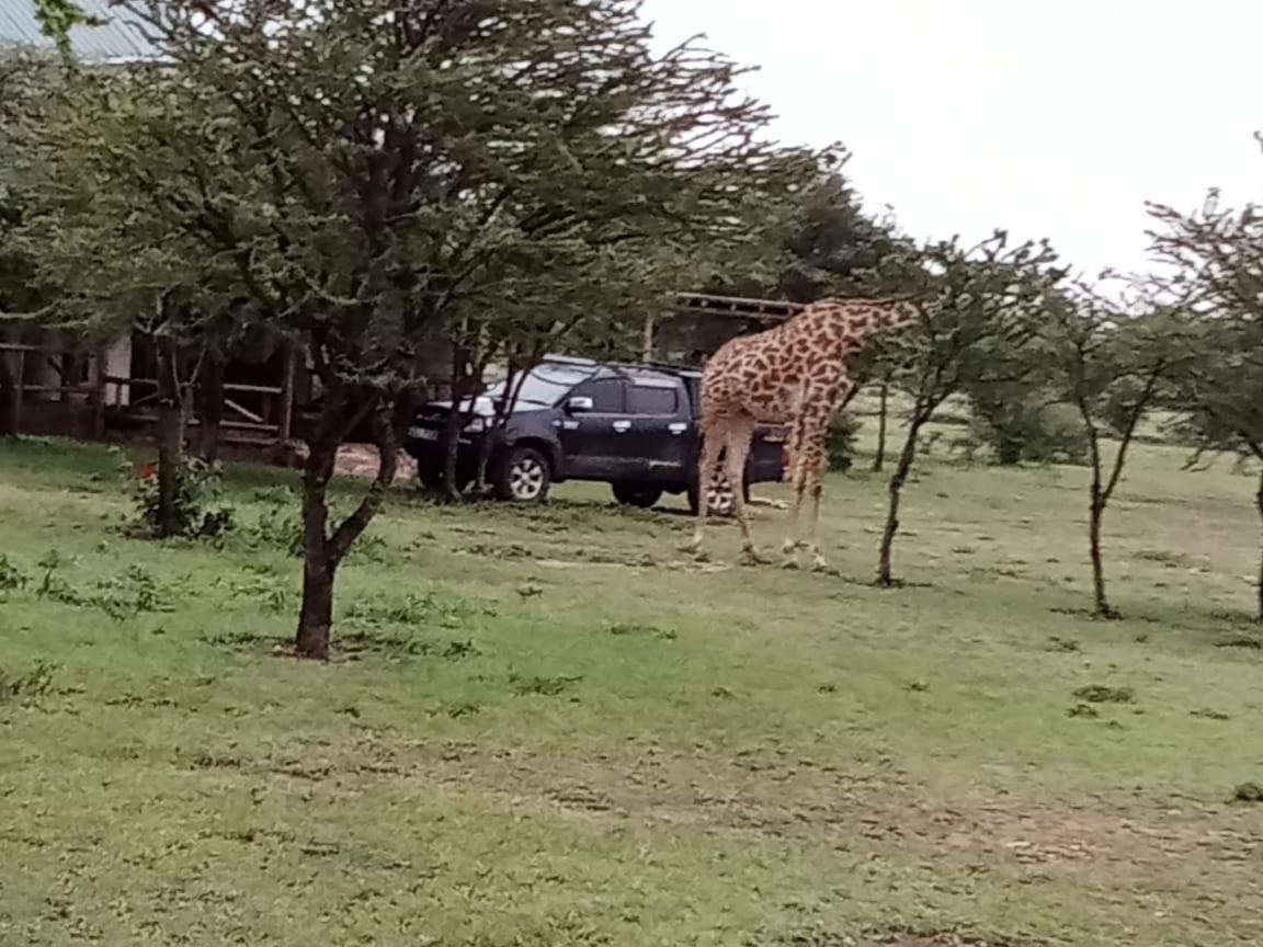 Narasha Homestay - Maasai Mara Talek エクステリア 写真