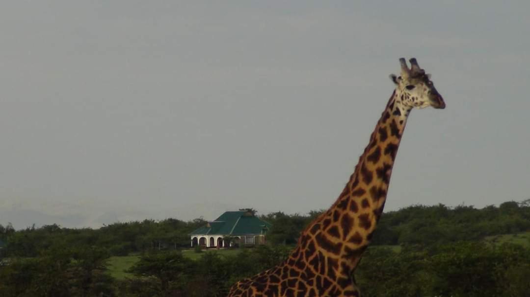 Narasha Homestay - Maasai Mara Talek エクステリア 写真