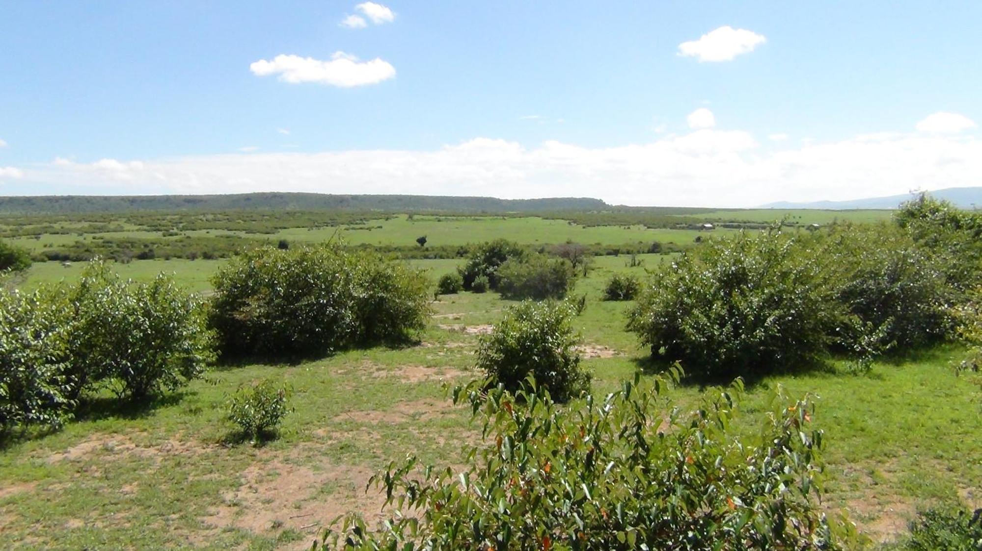 Narasha Homestay - Maasai Mara Talek 部屋 写真