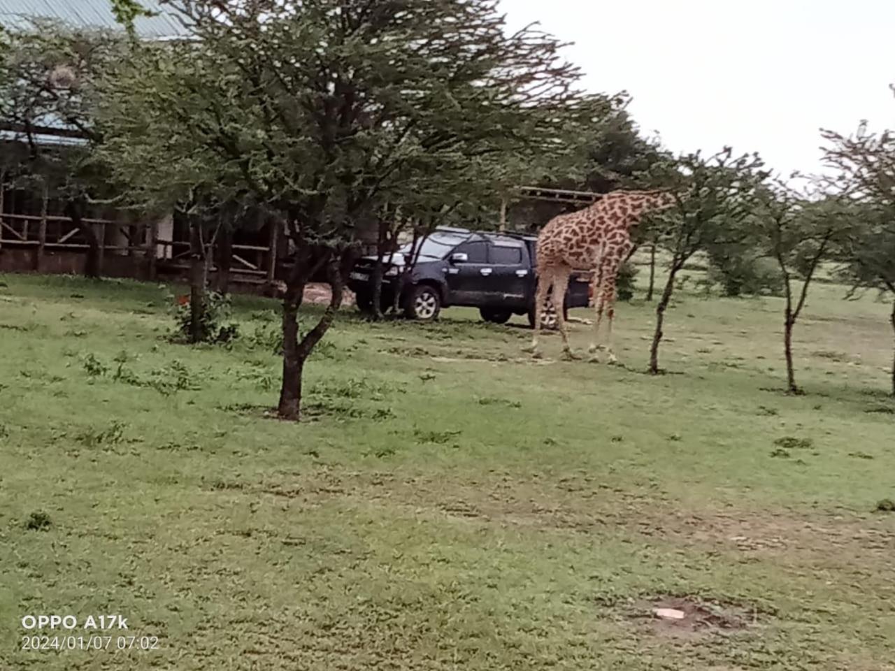 Narasha Homestay - Maasai Mara Talek 部屋 写真