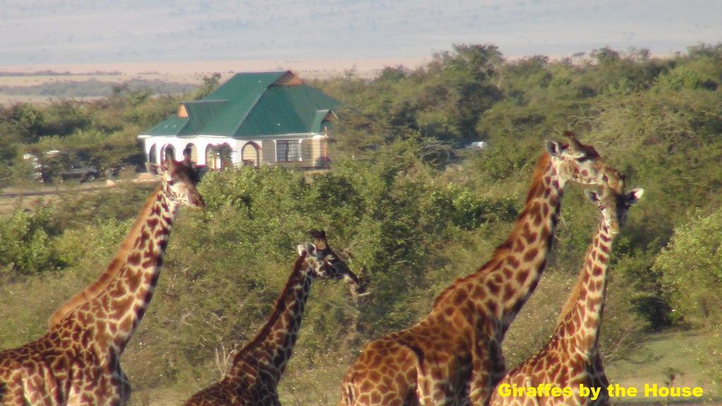 Narasha Homestay - Maasai Mara Talek エクステリア 写真