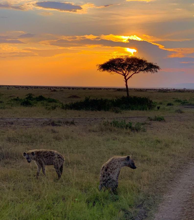 Narasha Homestay - Maasai Mara Talek エクステリア 写真